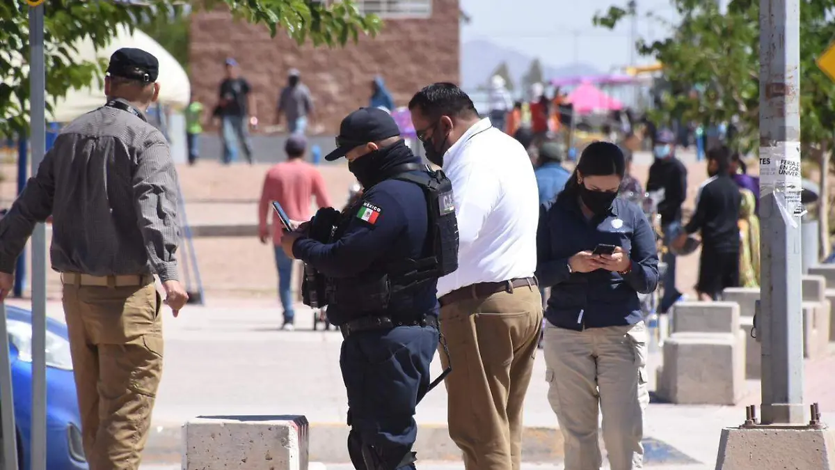 tianguis nueva españa 2